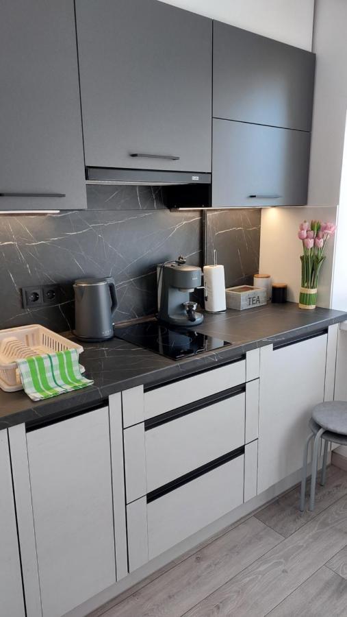 Cenkones Street Apartment Liepāja Eksteriør billede